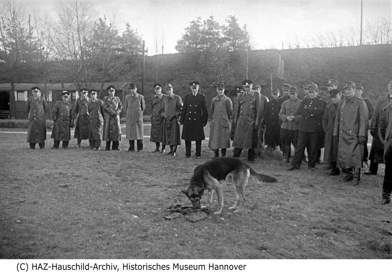 Polizeihundeprüfung, 1947/48